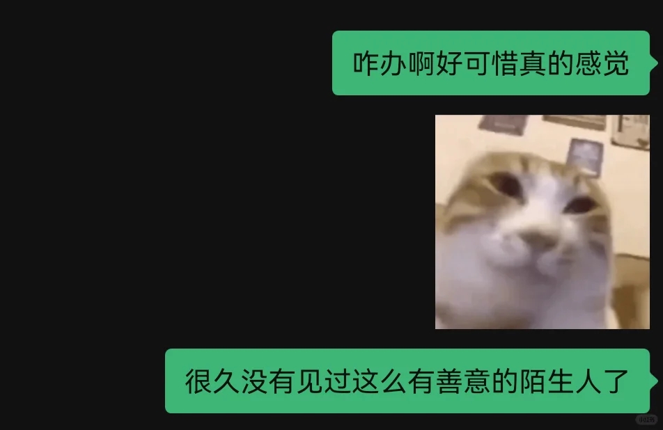 凌晨玩王者有点想哭