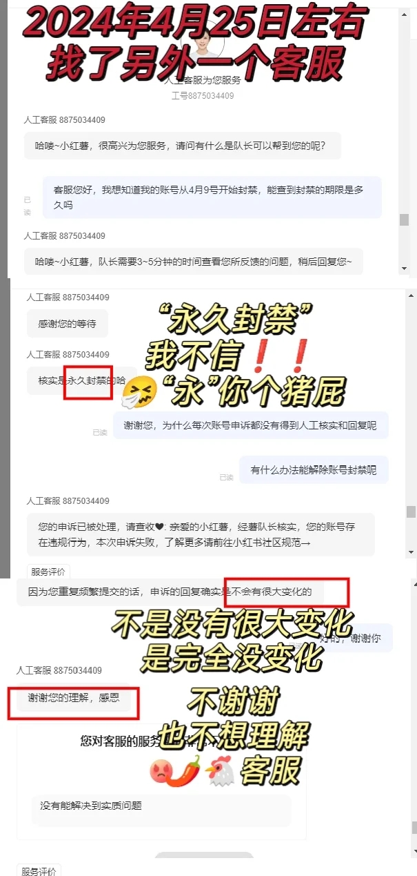 小红书从被封号到解封，我做了这一些努力