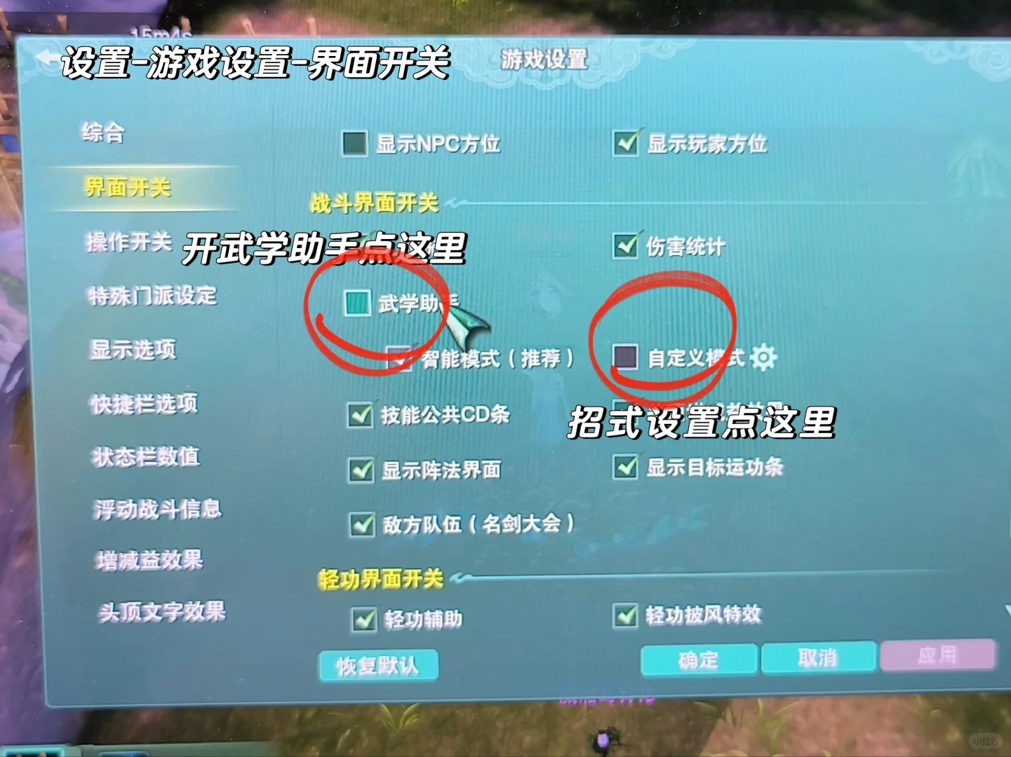 剑三电脑版武学助手注意事项