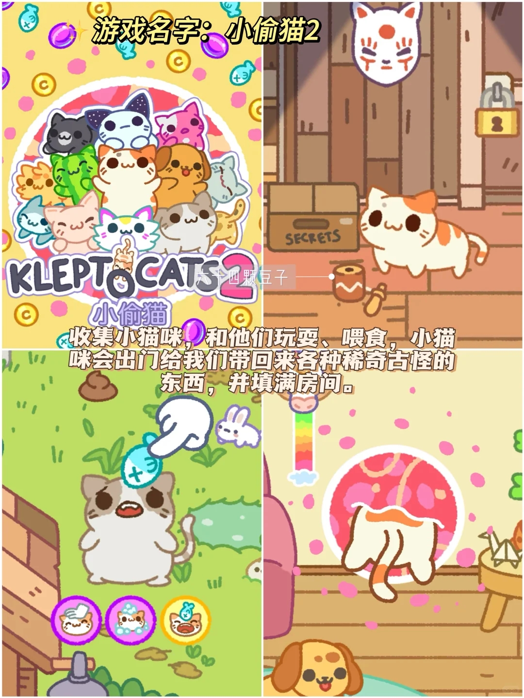 这么可爱的小猫咪到底是谁在玩🐈合集来啦