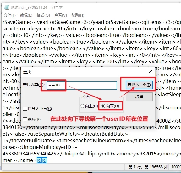 星露谷物语联机bug 角色属于另一位玩家