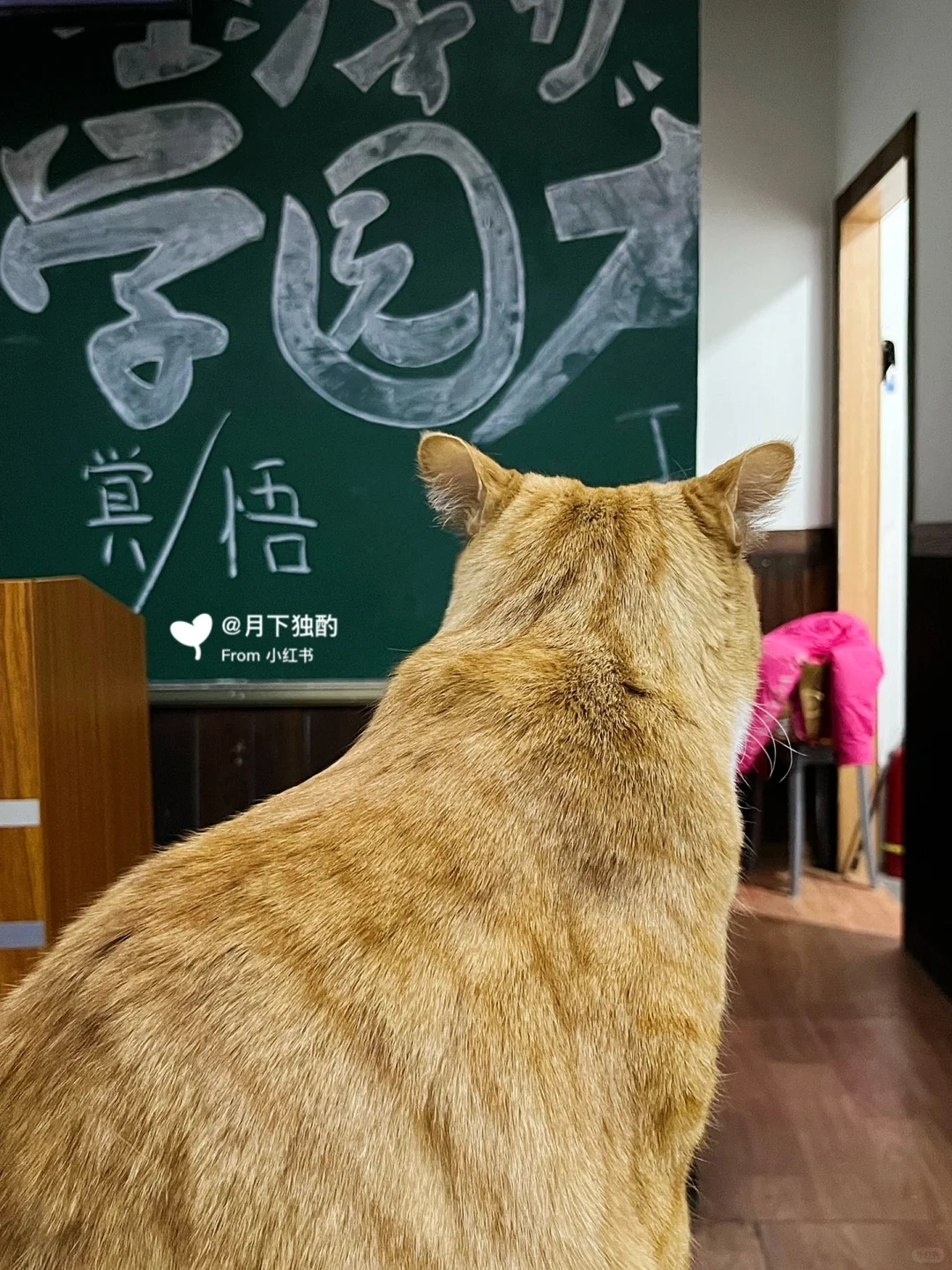 学园大逃杀｜请收好这份详细吃鸡攻略❗️