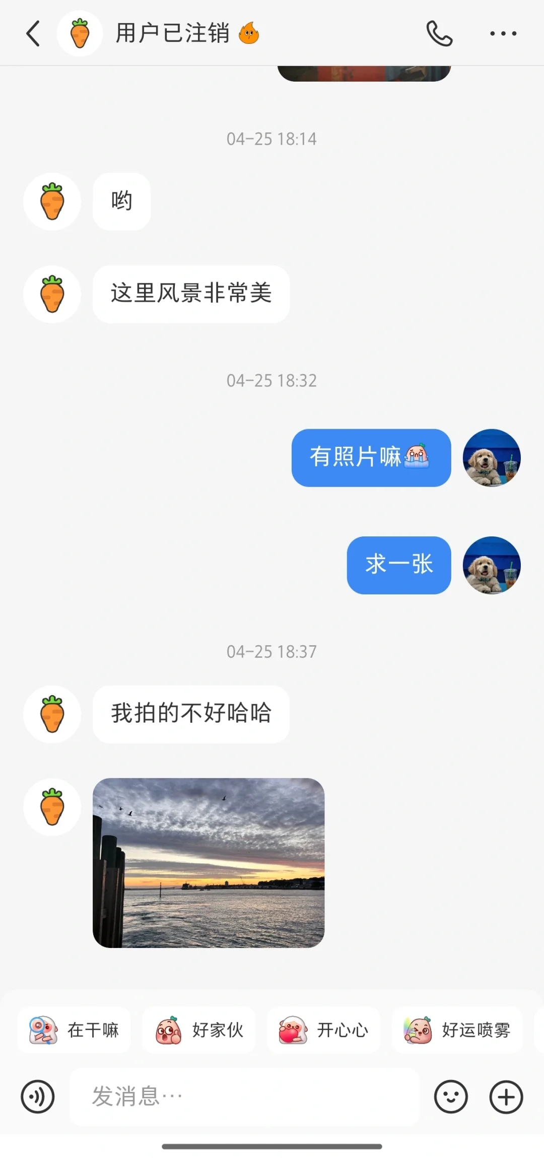 聊了快四个月的新西兰搭子注销账号了😭