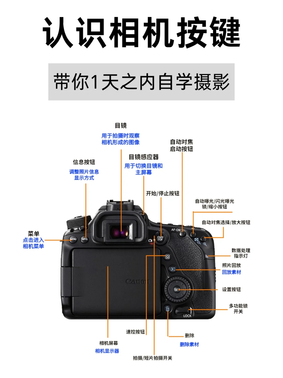 新手入门5分钟学会相机使用 | 摄影教程