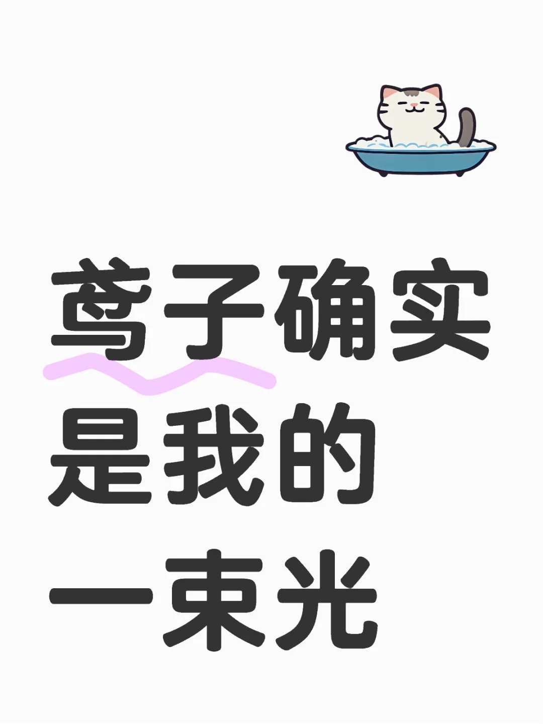 鸢子确实是我的一束光