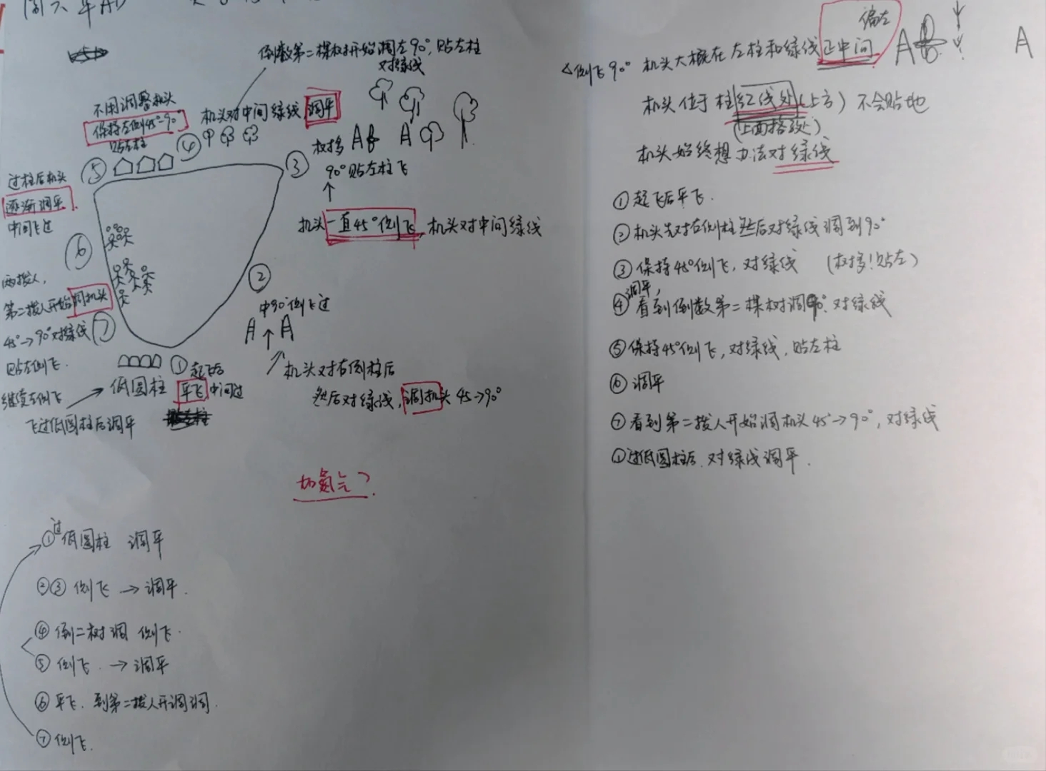 飞向蓝天｜青少年模拟飞行锦标赛