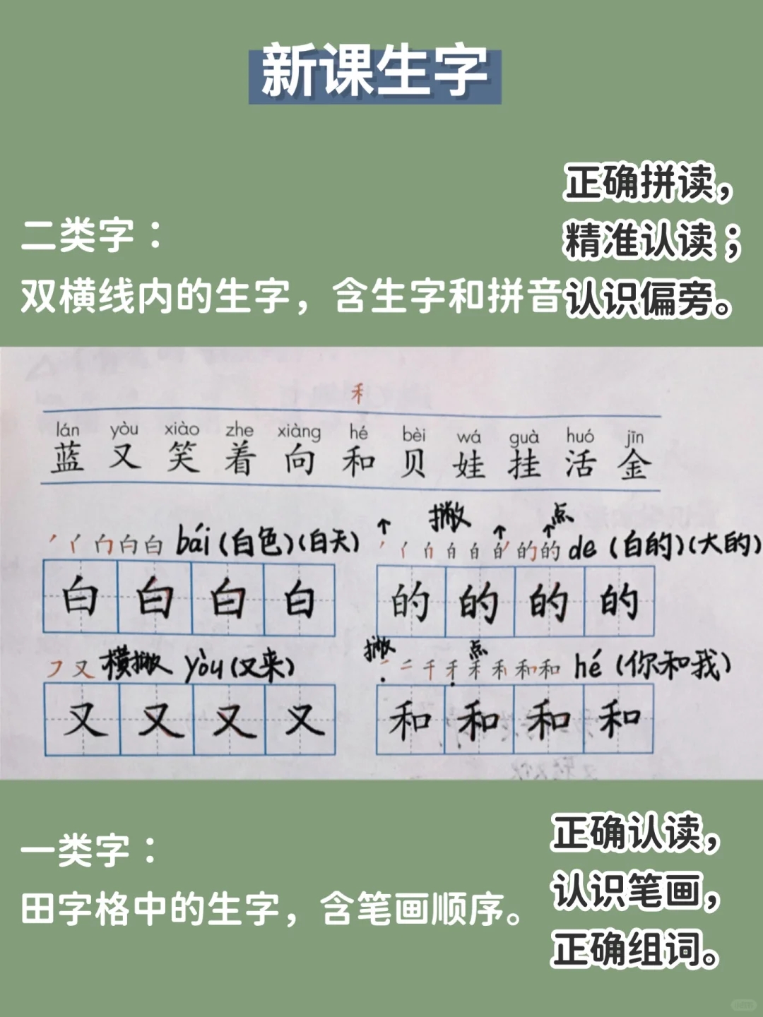 高效布置小学生作业❗️新手教师3步，一键GET