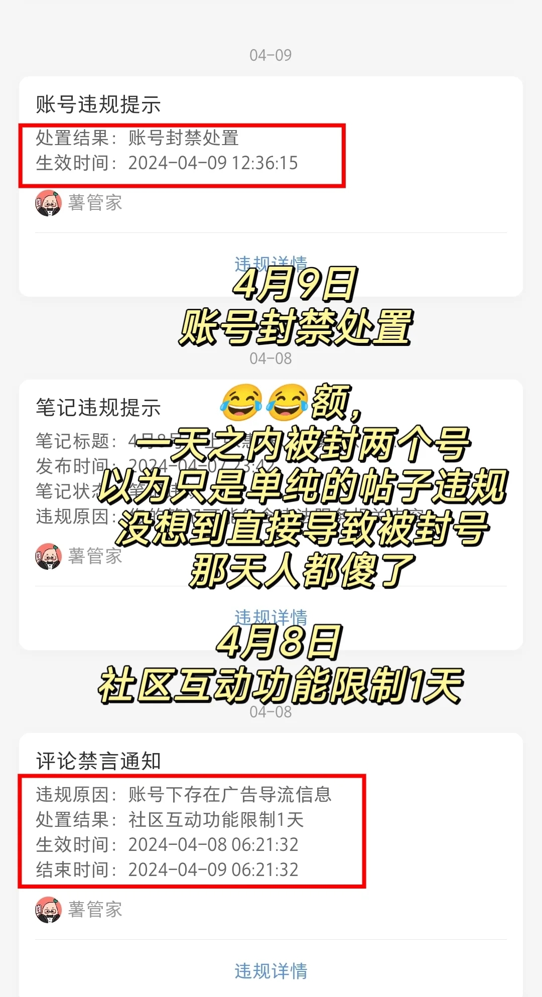 小红书从被封号到解封，我做了这一些努力