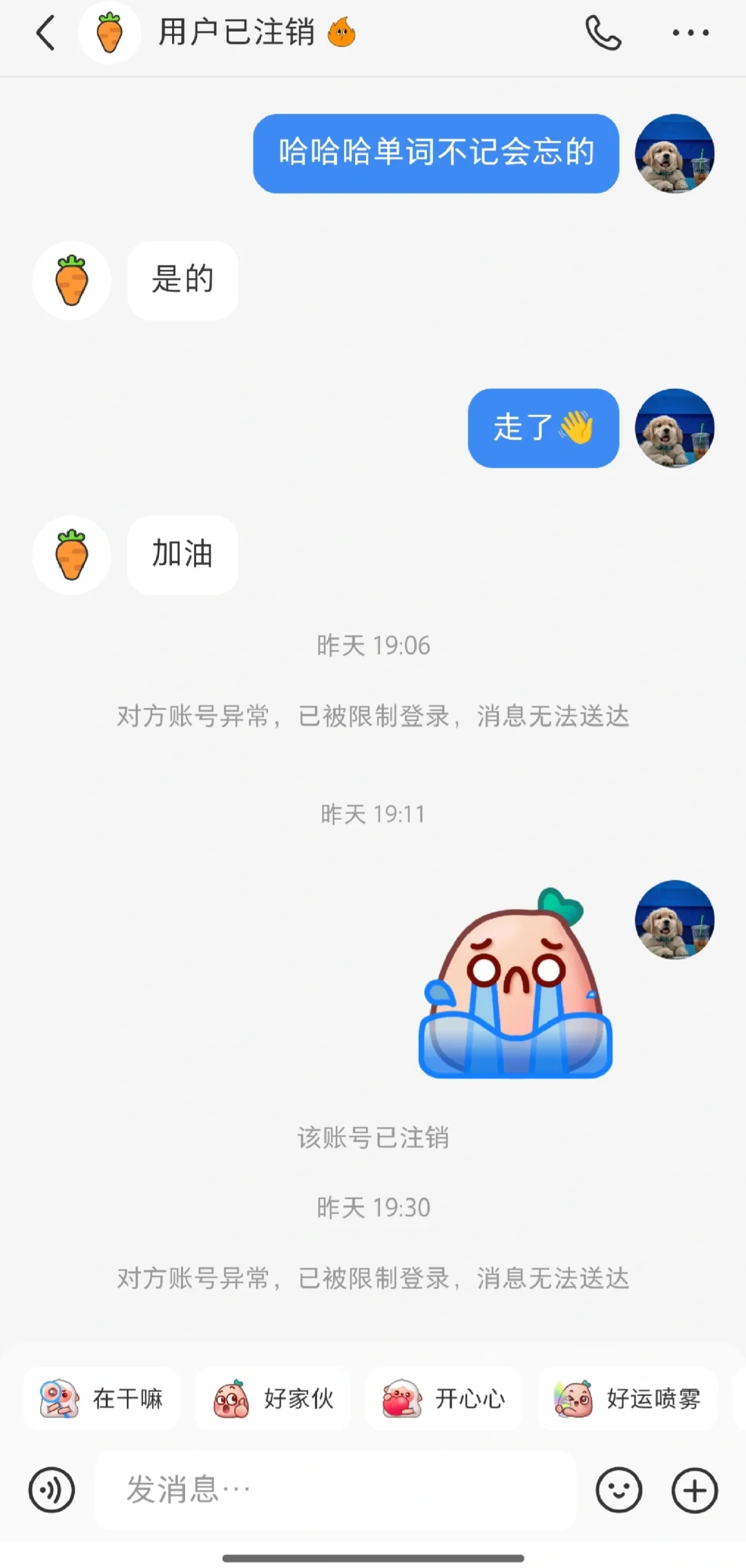 聊了快四个月的新西兰搭子注销账号了😭