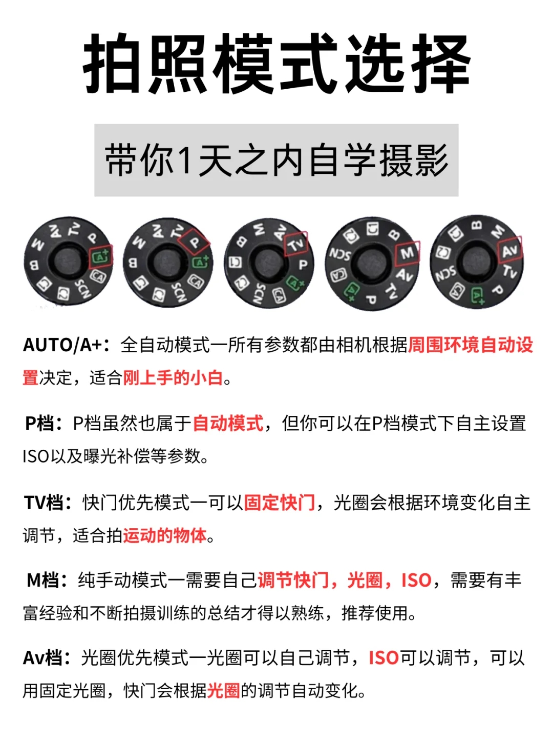 新手入门5分钟学会相机使用 | 摄影教程