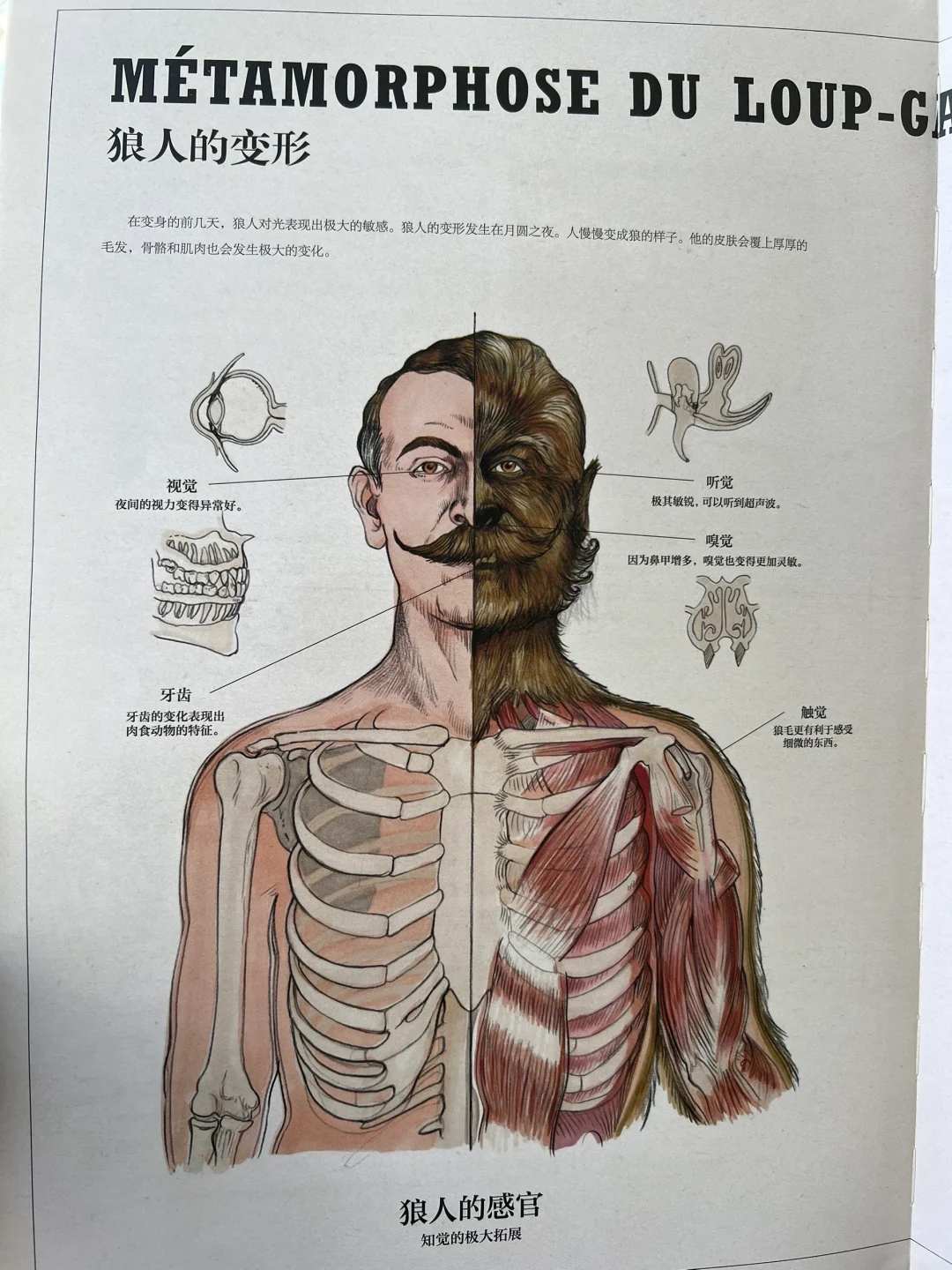 什么鬼？这竟然是科普书籍？神奇的生物图鉴！